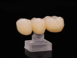 Zirconia Porcelain